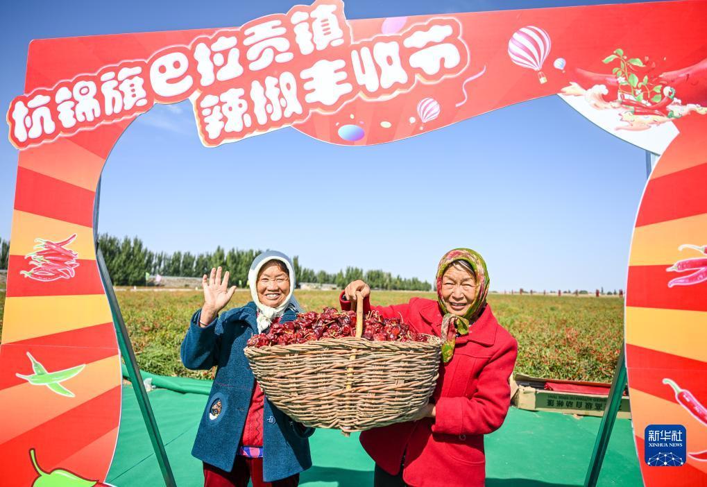 37游戏平台